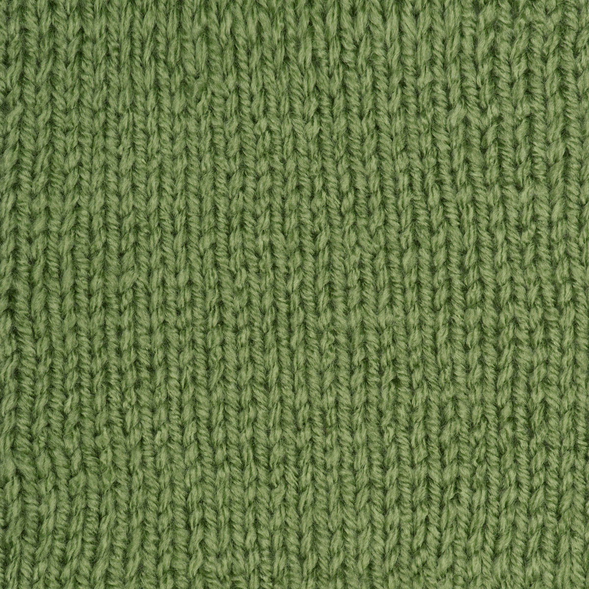 Tea Leaf