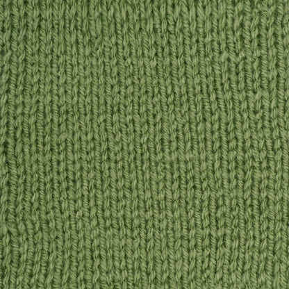 Red Heart Super Saver Yarn Tea Leaf